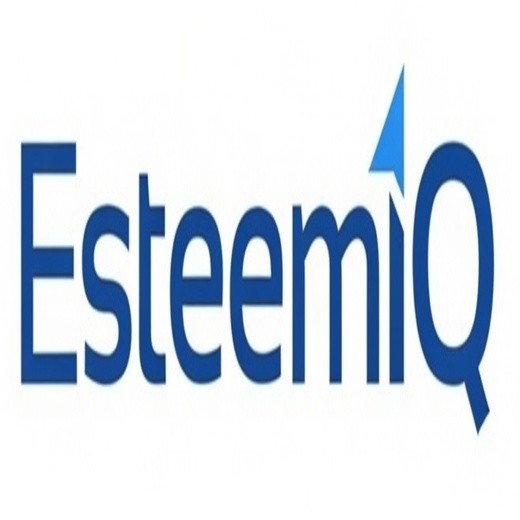 ESTEEMIQ trademark artwork
