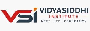 VSI VIDYASIDDHI INSTITUTE trademark artwork