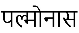PALMONAS in Hindi trademark artwork