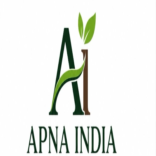 APNA INDIA trademark artwork