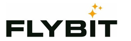 FLYBIT trademark artwork