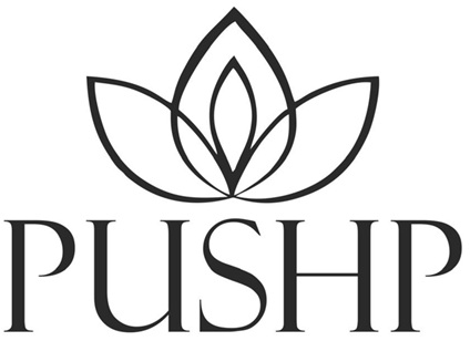 PUSHP (Device) trademark artwork