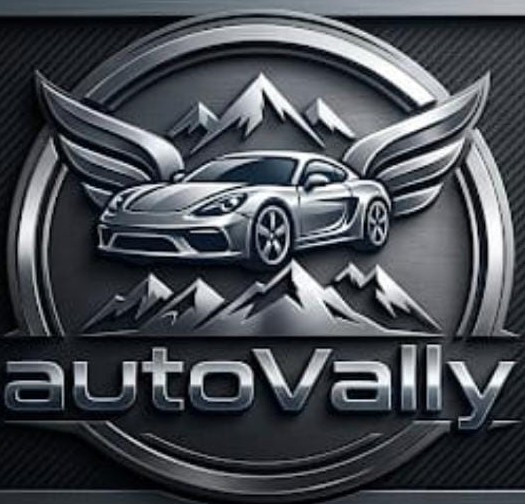 autoVally trademark artwork