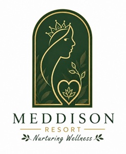 MEDDISON trademark artwork