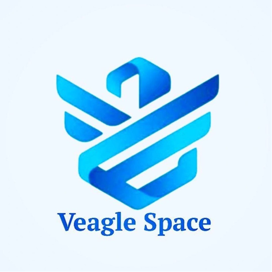 VEAGLE SPACE TECHNOLOGY PRIVATE LIMITED trademark artwork