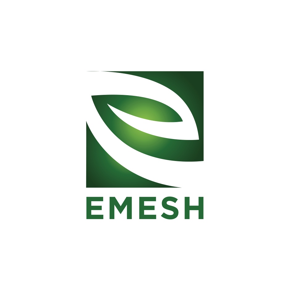 EMESH trademark artwork
