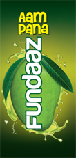 FUNDAAZ trademark artwork