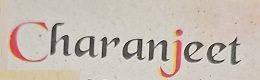 Charanjeet trademark artwork