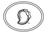 SHAPE OF MANGO(DEVICE) trademark artwork