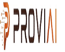 PROVI AI trademark artwork