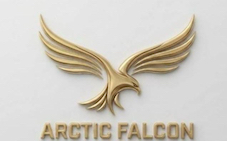 ARCTIC FALCON trademark artwork