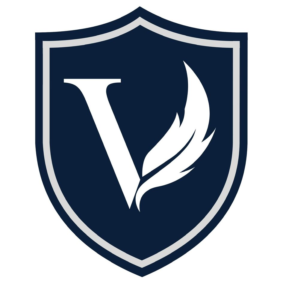 Vaayu Cricket trademark artwork
