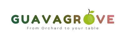 GUAVA GROVE FROM ORCHARD TO YOUR TABLE trademark artwork