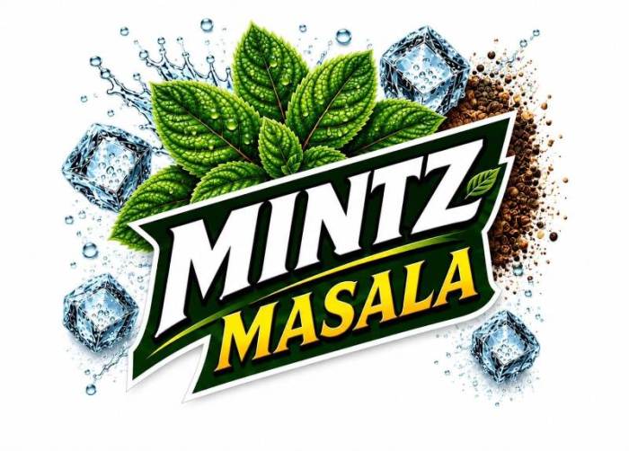 MINTZ MASALA trademark artwork