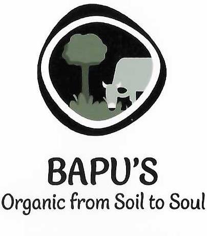 BAPU'S trademark artwork