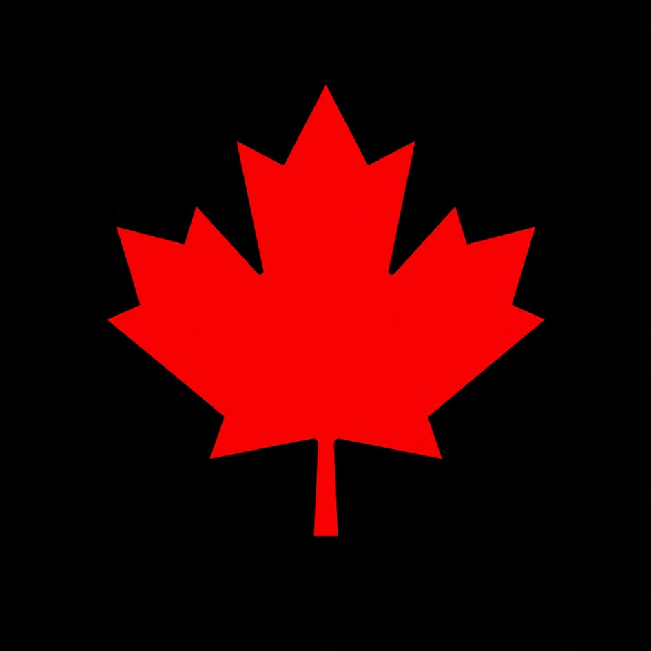 Raptors trademark artwork