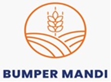 BUMPER MANDI trademark artwork