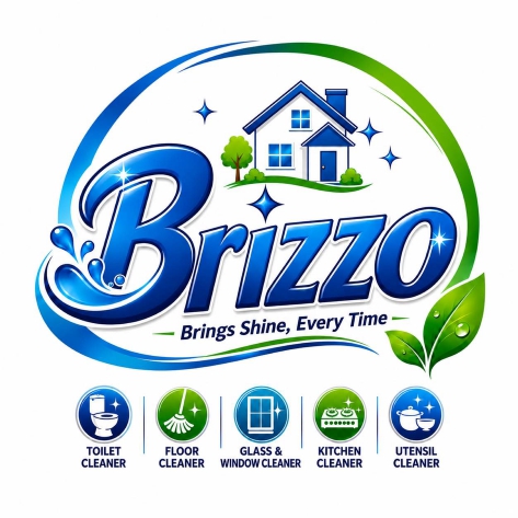 Brizzo Brings Shine, Every Time trademark artwork