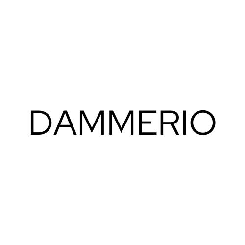 DAMMERIO trademark artwork