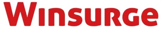 WINSURGE trademark artwork