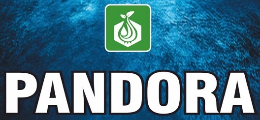 PANDORA trademark artwork
