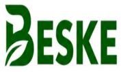BESKE trademark artwork