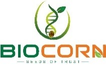 BIO CORN trademark artwork