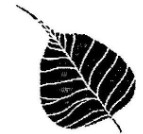 Leaf device trademark artwork