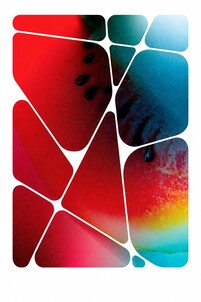 ABSTRACT MULTICOLOUR DEVICE trademark artwork