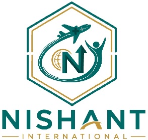 NISHANT INTERNATIONAL WITH N LOGO trademark artwork