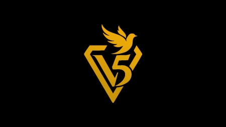 V-FIVE trademark artwork