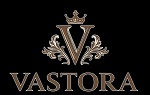 VASTORA WITH DEVICE OF V trademark artwork