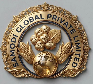 SAMODI GLOBAL PRIVATE LIMITED trademark artwork