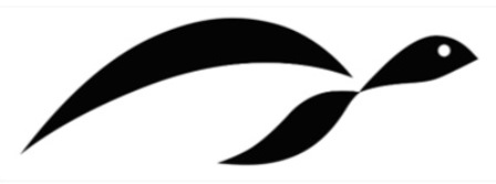 LOGO OF Turtle trademark artwork