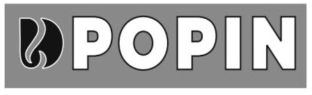POPIN trademark artwork