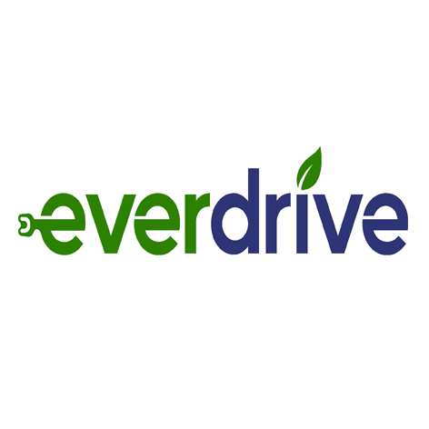everdrive trademark artwork