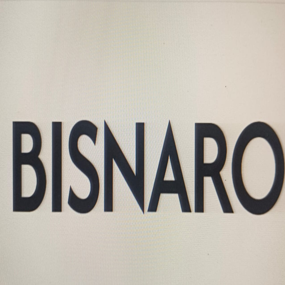 BISNARO trademark artwork