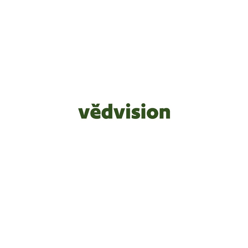 vedvision trademark artwork
