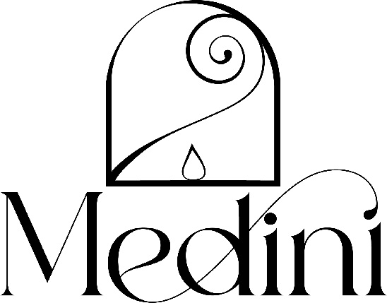 MEDINI trademark artwork