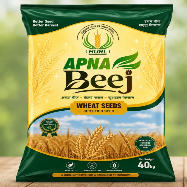 APNA Beej trademark artwork