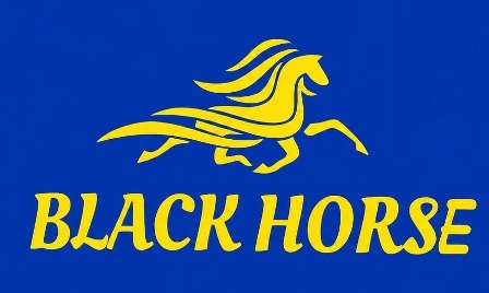 BLACK HORSE trademark artwork