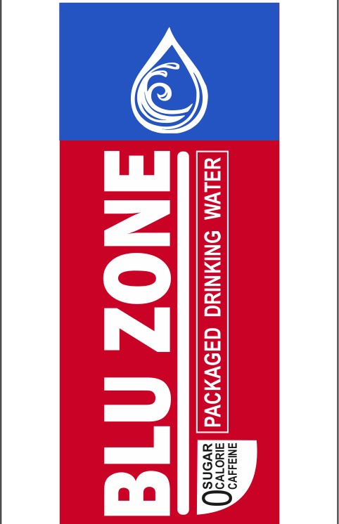BLU ZONE trademark artwork