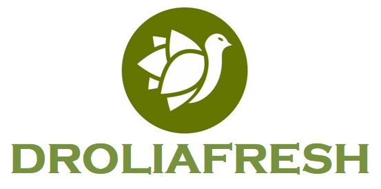DROLIAFRESH trademark artwork