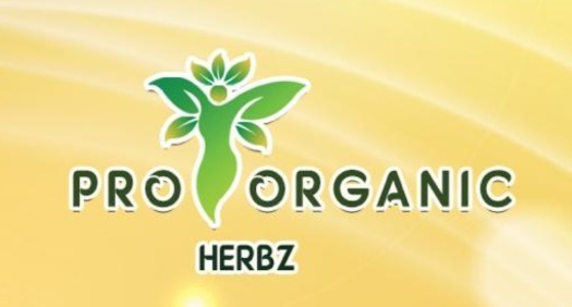 PRO ORGANIC HERBZ trademark artwork