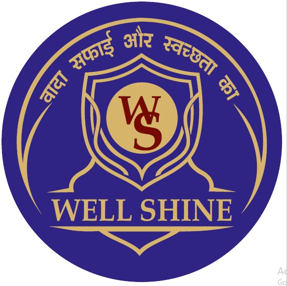WELL SHINE trademark artwork