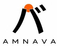 AMNAVA trademark artwork