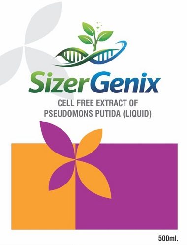 SIZER GENIX trademark artwork