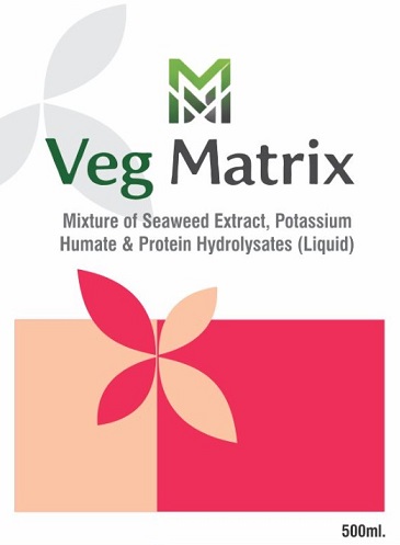 VEG MATRIX trademark artwork