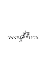 VANE LIOR trademark artwork
