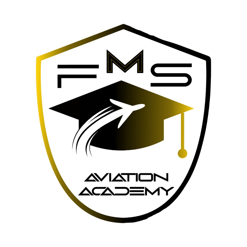 FMS AVIATION ACADEMY trademark artwork